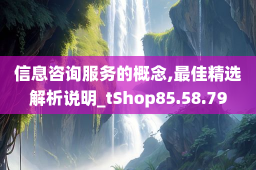 信息咨询服务的概念,最佳精选解析说明_tShop85.58.79