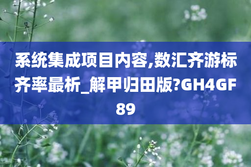 系统集成项目内容,数汇齐游标齐率最析_解甲归田版?GH4GF89