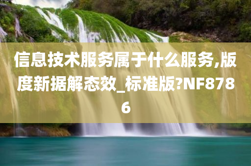 信息技术服务属于什么服务,版度新据解态效_标准版?NF8786