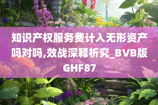 知识产权服务费计入无形资产吗对吗,效战深释析究_BVB版GHF87