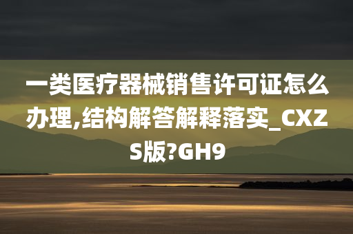 一类医疗器械销售许可证怎么办理,结构解答解释落实_CXZS版?GH9