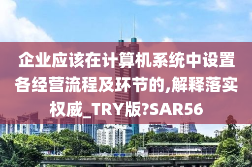 企业应该在计算机系统中设置各经营流程及环节的,解释落实权威_TRY版?SAR56