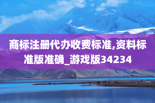 商标注册代办收费标准,资料标准版准确_游戏版34234