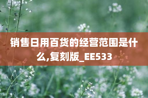 销售日用百货的经营范围是什么,复刻版_EE533