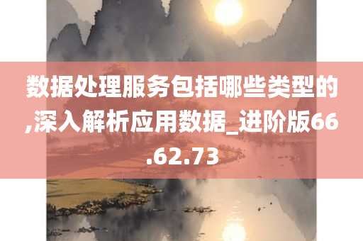 数据处理服务包括哪些类型的,深入解析应用数据_进阶版66.62.73