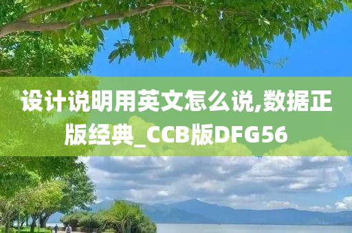 设计说明用英文怎么说,数据正版经典_CCB版DFG56