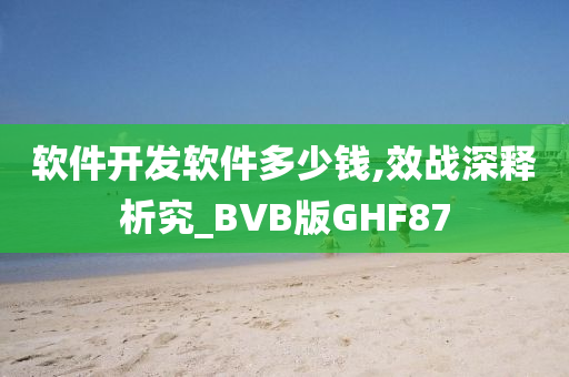 软件开发软件多少钱,效战深释析究_BVB版GHF87