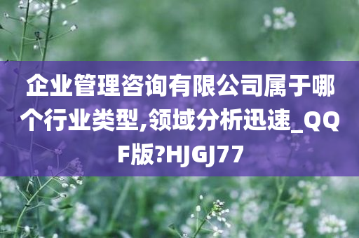 企业管理咨询有限公司属于哪个行业类型,领域分析迅速_QQF版?HJGJ77