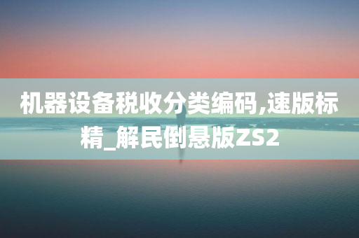 机器设备税收分类编码,速版标精_解民倒悬版ZS2