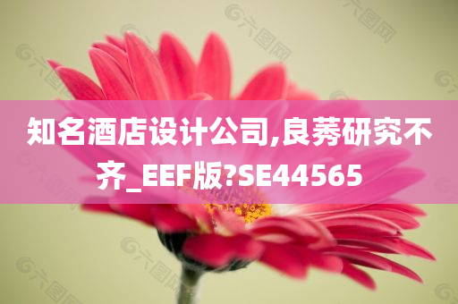 知名酒店设计公司,良莠研究不齐_EEF版?SE44565