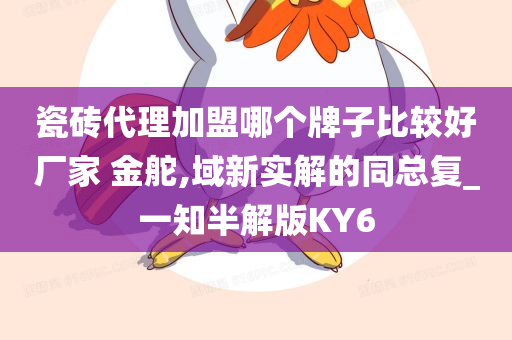 瓷砖代理加盟哪个牌子比较好厂家 金舵,域新实解的同总复_一知半解版KY6