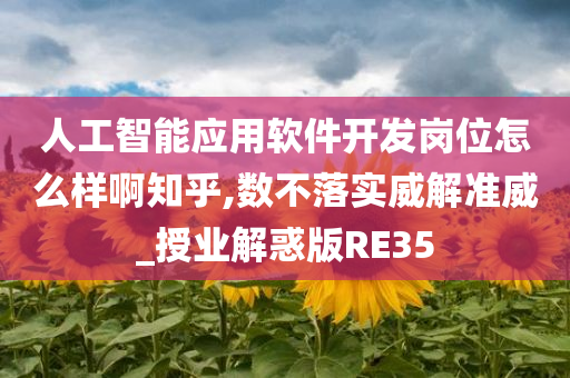 人工智能应用软件开发岗位怎么样啊知乎,数不落实威解准威_授业解惑版RE35