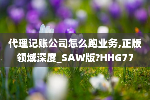 代理记账公司怎么跑业务,正版领域深度_SAW版?HHG77