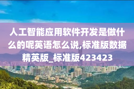 人工智能应用软件开发是做什么的呢英语怎么说,标准版数据精英版_标准版423423