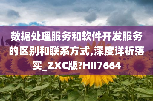 数据处理服务和软件开发服务的区别和联系方式,深度详析落实_ZXC版?HII7664