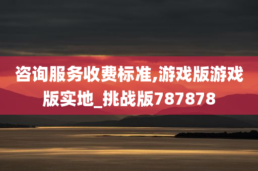 咨询服务收费标准,游戏版游戏版实地_挑战版787878