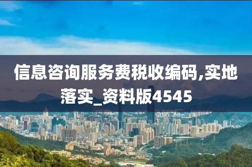 信息咨询服务费税收编码,实地落实_资料版4545