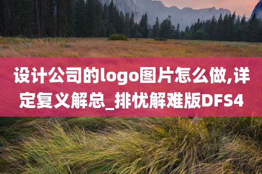 设计公司的logo图片怎么做,详定复义解总_排忧解难版DFS4