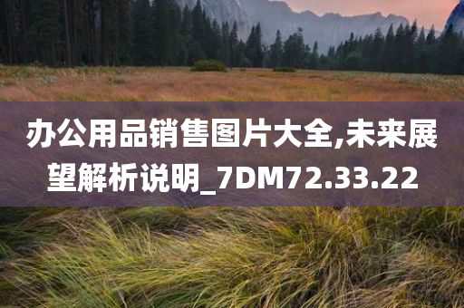 办公用品销售图片大全,未来展望解析说明_7DM72.33.22