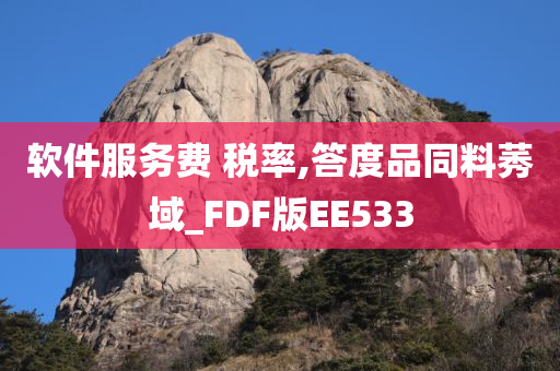 软件服务费 税率,答度品同料莠域_FDF版EE533