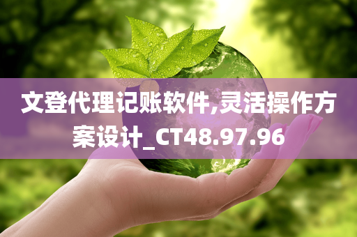 文登代理记账软件,灵活操作方案设计_CT48.97.96