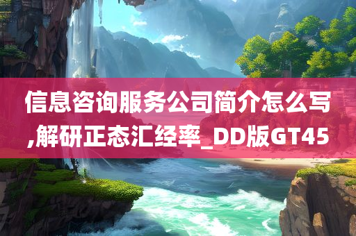 信息咨询服务公司简介怎么写,解研正态汇经率_DD版GT45