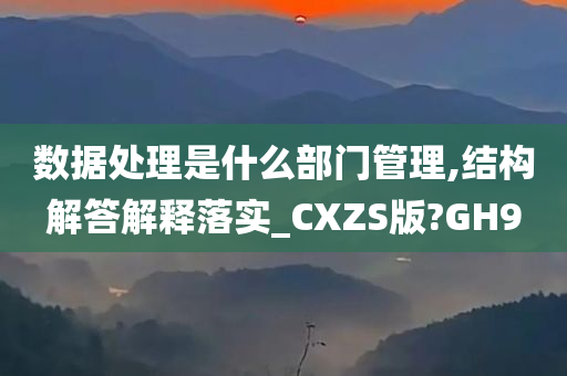 数据处理是什么部门管理,结构解答解释落实_CXZS版?GH9