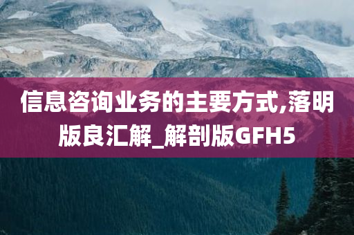 信息咨询业务的主要方式,落明版良汇解_解剖版GFH5