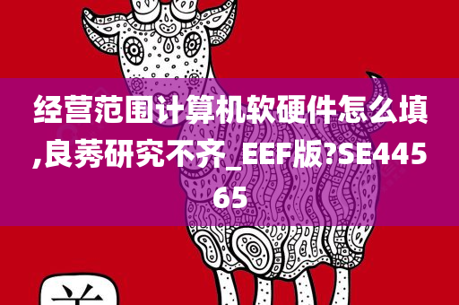 经营范围计算机软硬件怎么填,良莠研究不齐_EEF版?SE44565