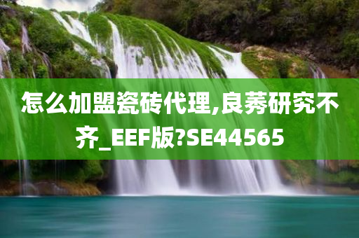 怎么加盟瓷砖代理,良莠研究不齐_EEF版?SE44565