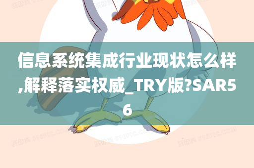 信息系统集成行业现状怎么样,解释落实权威_TRY版?SAR56