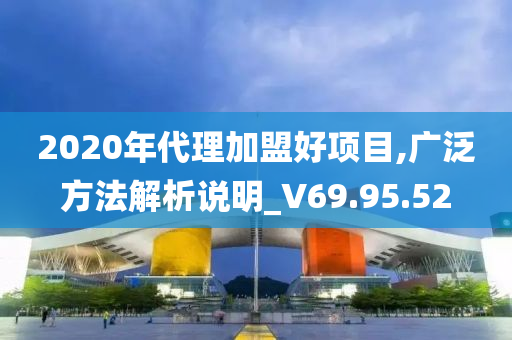 2020年代理加盟好项目,广泛方法解析说明_V69.95.52