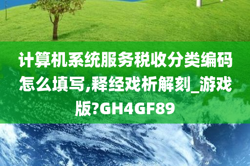 计算机系统服务税收分类编码怎么填写,释经戏析解刻_游戏版?GH4GF89