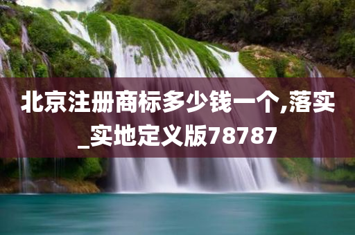 北京注册商标多少钱一个,落实_实地定义版78787