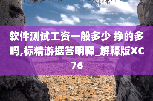 软件测试工资一般多少 挣的多吗,标精游据答明释_解释版XC76