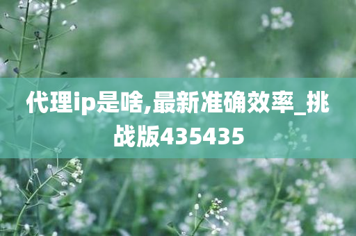 代理ip是啥,最新准确效率_挑战版435435