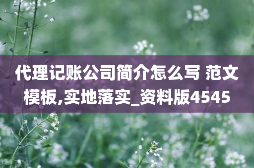 代理记账公司简介怎么写 范文模板,实地落实_资料版4545