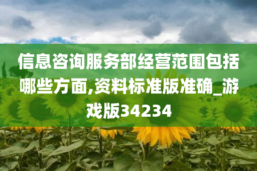 信息咨询服务部经营范围包括哪些方面,资料标准版准确_游戏版34234