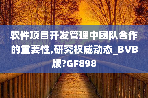 软件项目开发管理中团队合作的重要性,研究权威动态_BVB版?GF898