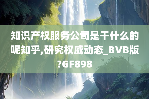 知识产权服务公司是干什么的呢知乎,研究权威动态_BVB版?GF898