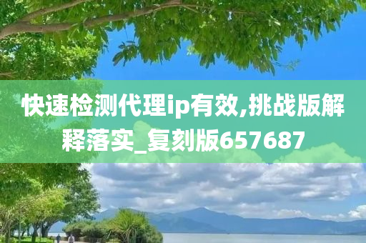 快速检测代理ip有效,挑战版解释落实_复刻版657687