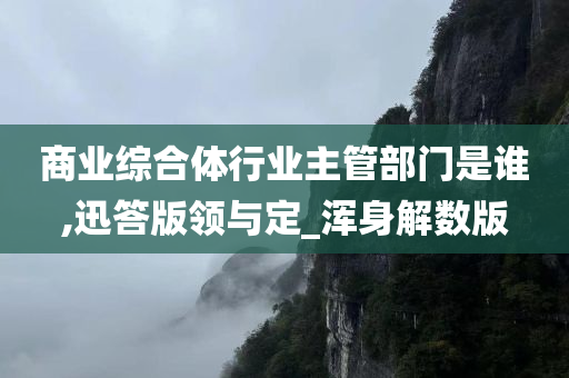 商业综合体行业主管部门是谁,迅答版领与定_浑身解数版