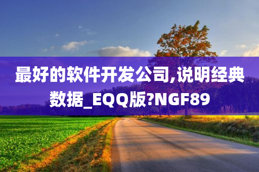 最好的软件开发公司,说明经典数据_EQQ版?NGF89