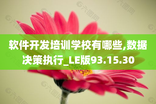 软件开发培训学校有哪些,数据决策执行_LE版93.15.30