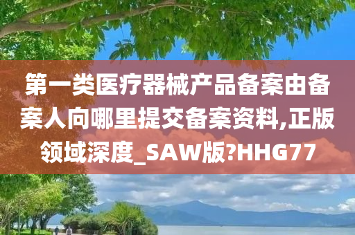 第一类医疗器械产品备案由备案人向哪里提交备案资料,正版领域深度_SAW版?HHG77