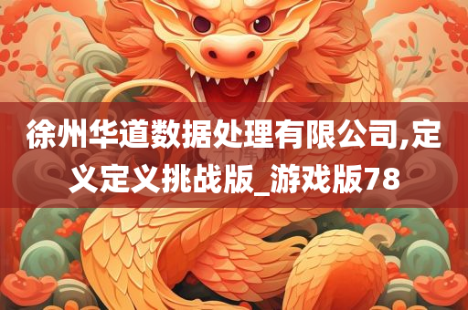 徐州华道数据处理有限公司,定义定义挑战版_游戏版78