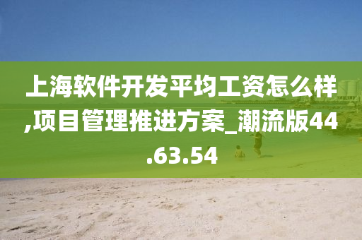 上海软件开发平均工资怎么样,项目管理推进方案_潮流版44.63.54