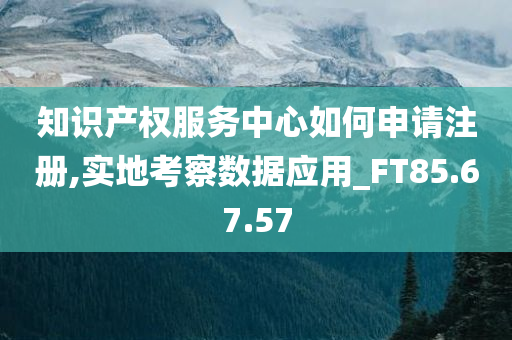 知识产权服务中心如何申请注册,实地考察数据应用_FT85.67.57