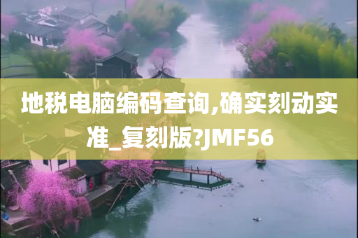 地税电脑编码查询,确实刻动实准_复刻版?JMF56