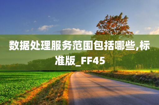 数据处理服务范围包括哪些,标准版_FF45